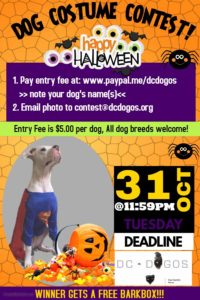 DC Dogos Costume Contest