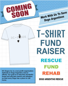 T Shirt Fundraiser