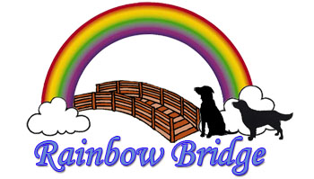 rainbow bridge