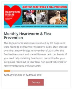 Heart Worm Prevention