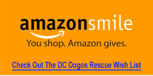 DC Dogos Rescue Wish List