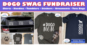 Dogo Swag Fundraiser