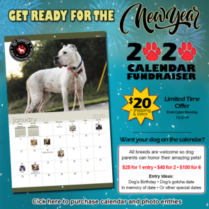 DC Dogos 2020 Calendar