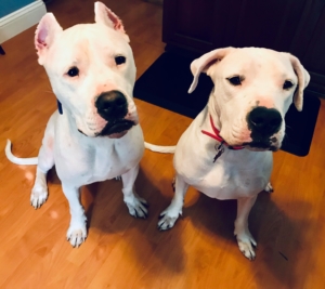 Arya loves getting treats with her brother