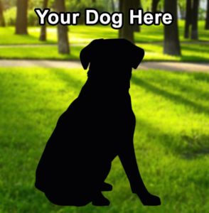 Your Dog Here